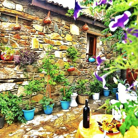 Sirincem Pension Selçuk Bagian luar foto